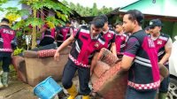 IMG-20260112-WA0096