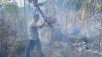 IMG-20260929-WA0073